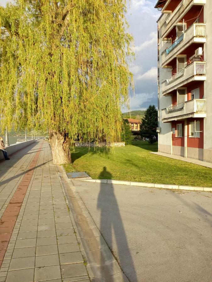 Apartman Bogojevic โกลูบาค ภายนอก รูปภาพ
